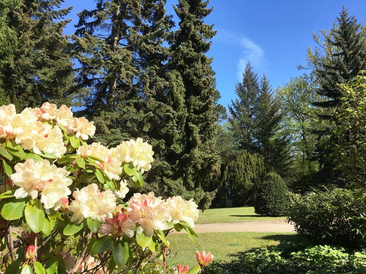 Residenz Bleichroeder - Teja Mit Strandkorb Heringsdorf Dış mekan fotoğraf
